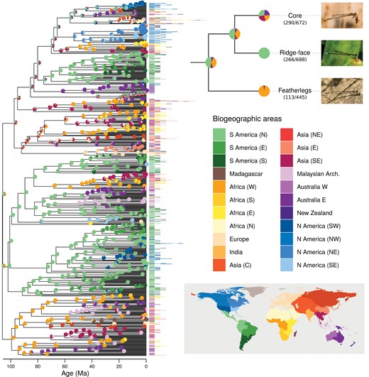EvolOdonata's tweet card. Abstract. The processes responsible for the formation of Earth’s most conspicuous diversity pattern, the latitudinal diversity gradient (LDG), remain unexp