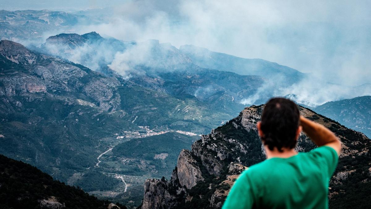 vicenteguallart's tweet card. El incendio del Baix Ebre, que este miércoles a mediodía entró en la fase de estabilización, se ha quedado cerca de convertirse en uno de los más graves de la