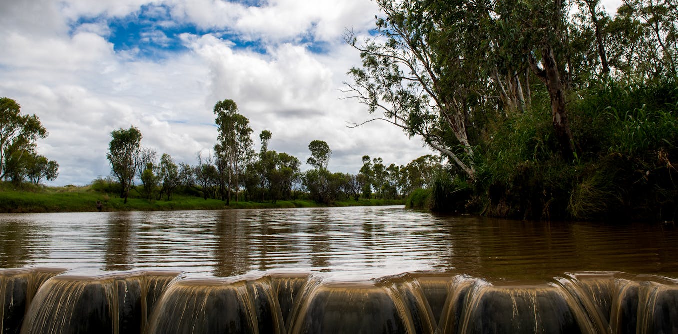 HigginsDaryl's tweet card. Restoring the basin to health requires more than just more water. Coordinated local efforts to restore rivers and the surrounding land are desperately needed.
