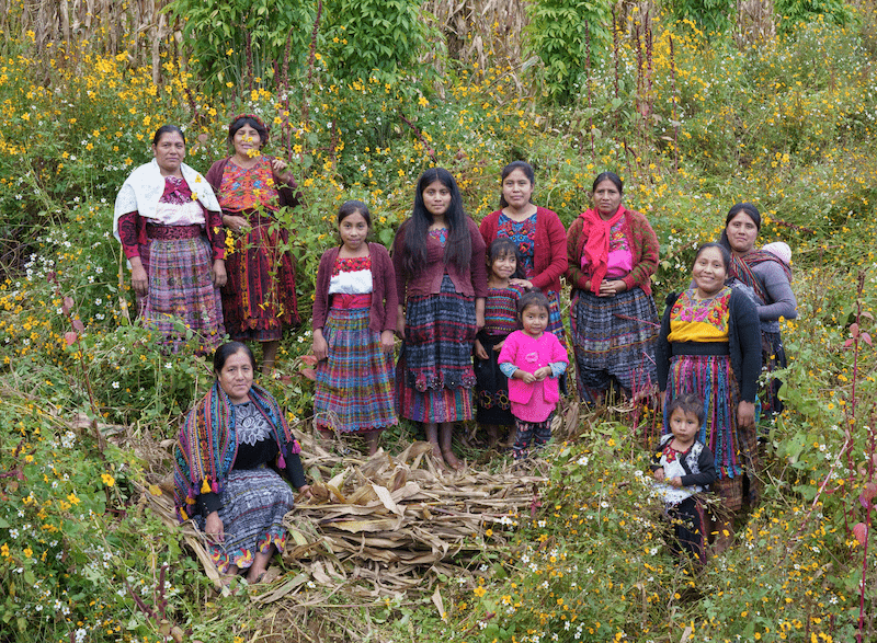 Ember_mh's tweet card. Following decades of civil war, a community collective in Guatemala uses sharing circles to revive Indigenous concepts of mental health