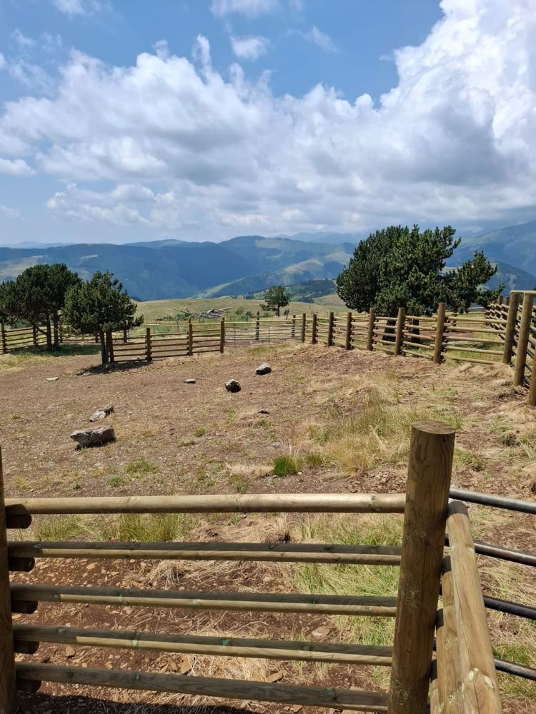 AjuntamentMollo's tweet card. Durant el mes de juliol de 2025 s’ha efectuat la renovació i construcció d’una nova mànega ramadera per tal de millorar la seguretat del bestiar i la integració paisatgística, executat gràcies al...