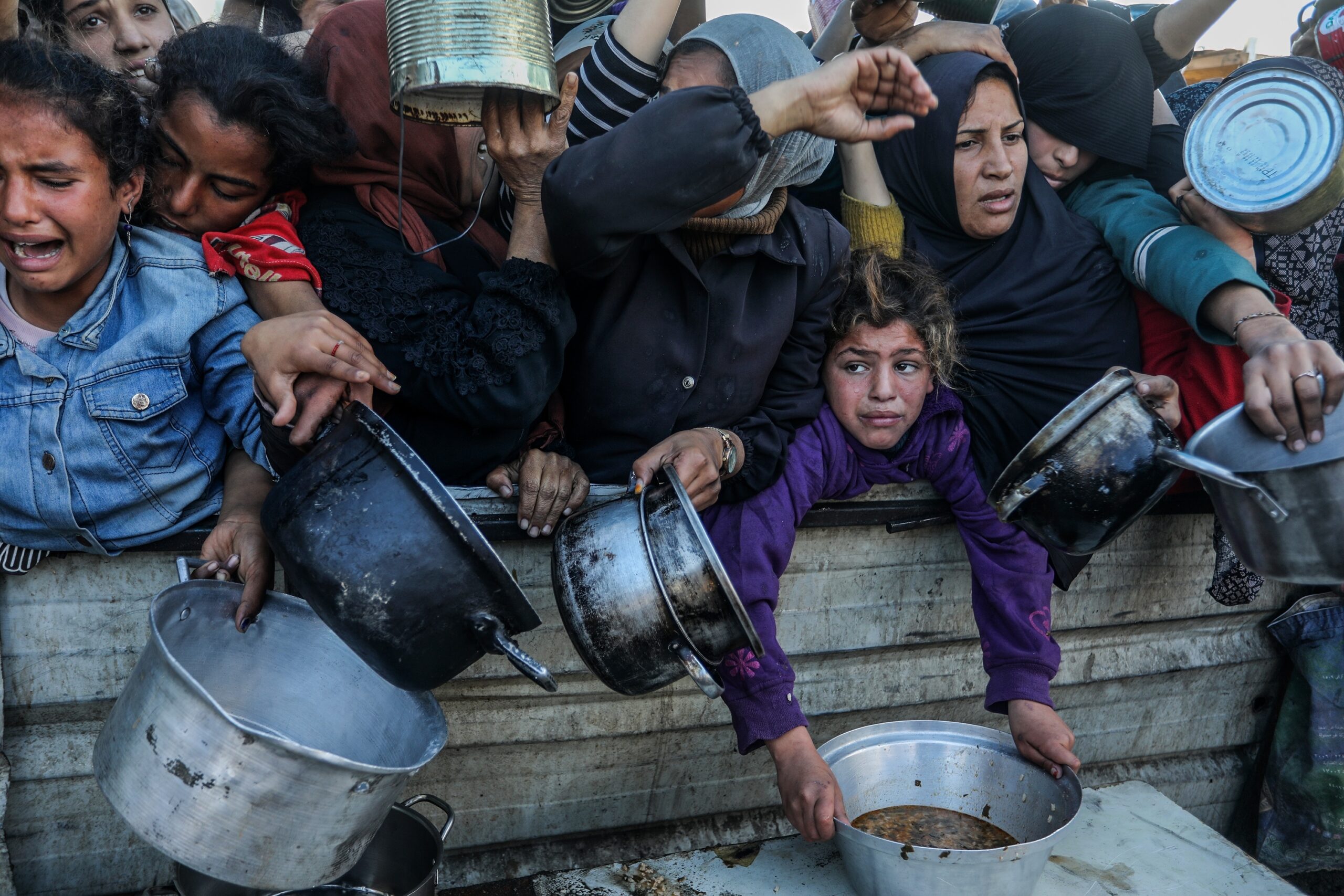 matteogracis's tweet card. Mentre i governi occidentali continuano a rilasciare parole di condanna verso i crimini di Israele in Palestina, le vittime per la carestia a Gaza aumentano di giorno in giorno. Nella sola giornata...
