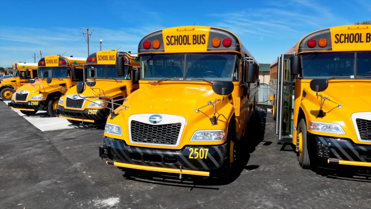 AliRoundWorld's tweet card. Fox 4’s Austin Schargorodski reports on how Glades County Schools prepares to put its new electric buses to work as mobile generators this hurricane season.