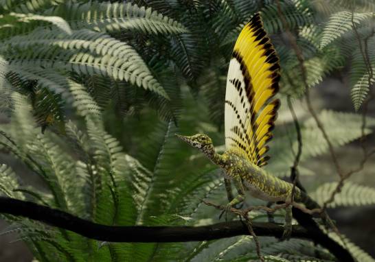 agencia_sinc's tweet card. Descubren fósiles de un reptil que vivió hace 247 millones de años con una cresta formada por apéndices similares a plumas, lo que indica que antes de las aves ya existían reptiles con recubrimientos...