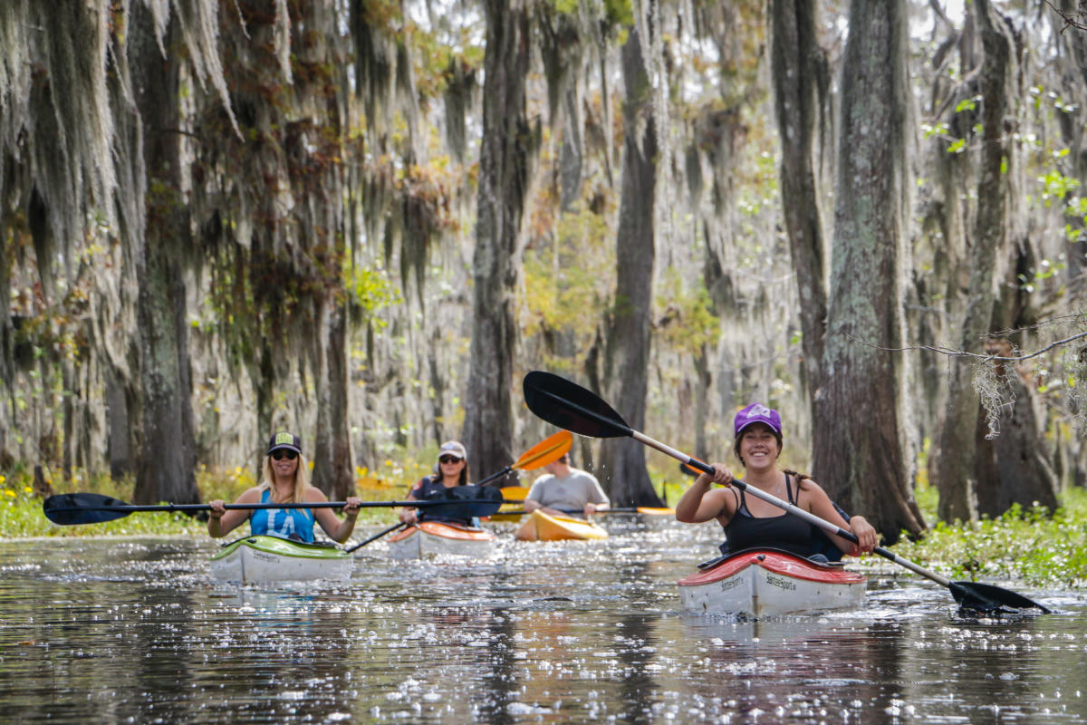EDAR_Program's tweet card. Whether you're a first time explorer or a seasoned visitor, there's so much to see on your trip to the city. Find the best New Orleans things to do with New Orleans & Company.