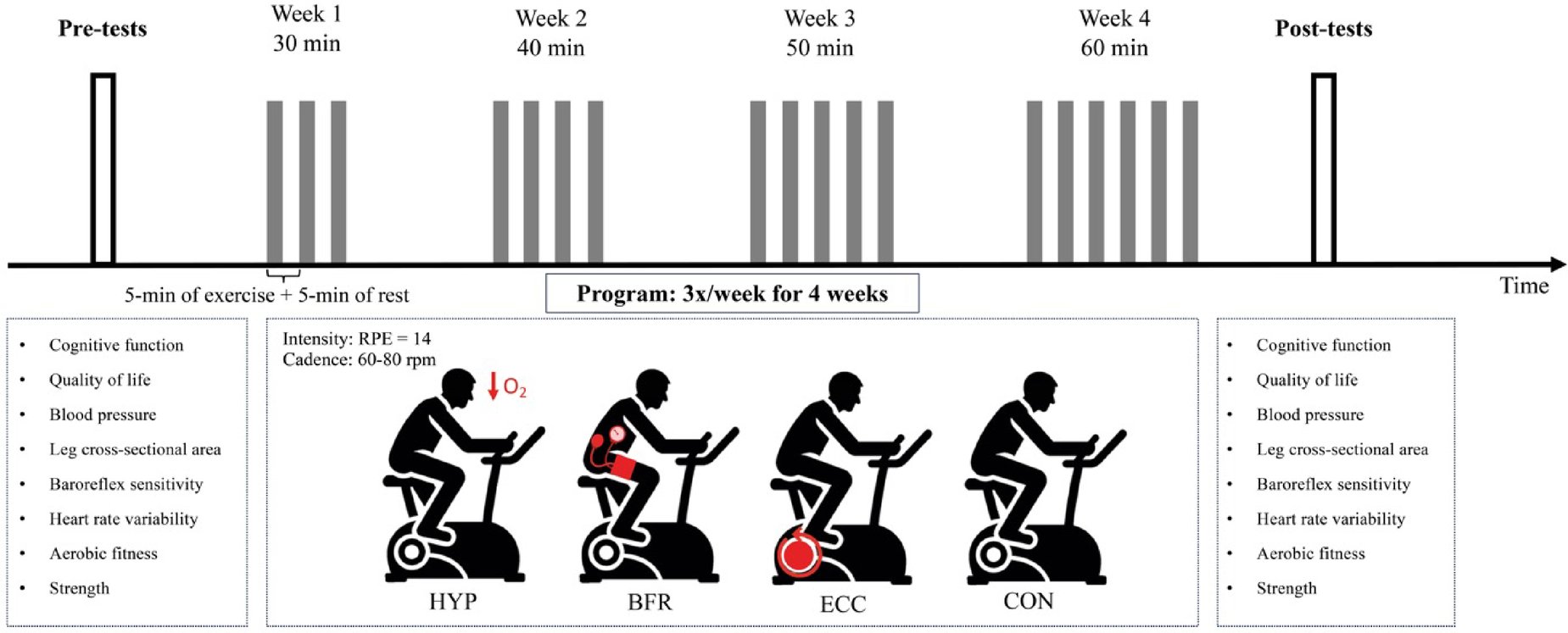 TCitherlet's tweet card. Scientific Reports - Effectiveness of short-term cycling interventions in older adults: a randomized trial of hypoxic, blood flow restriction, and eccentric cycling