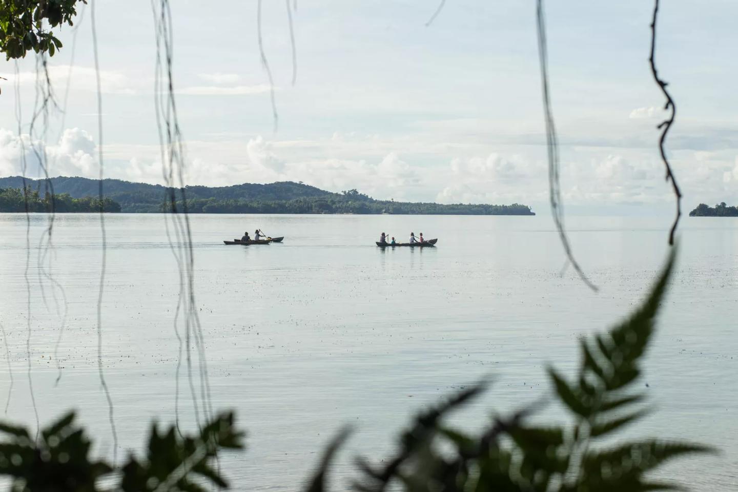 UNICEFPacific's tweet card. Jennifer's Unstoppable Immunization Mission in the Solomon Islands