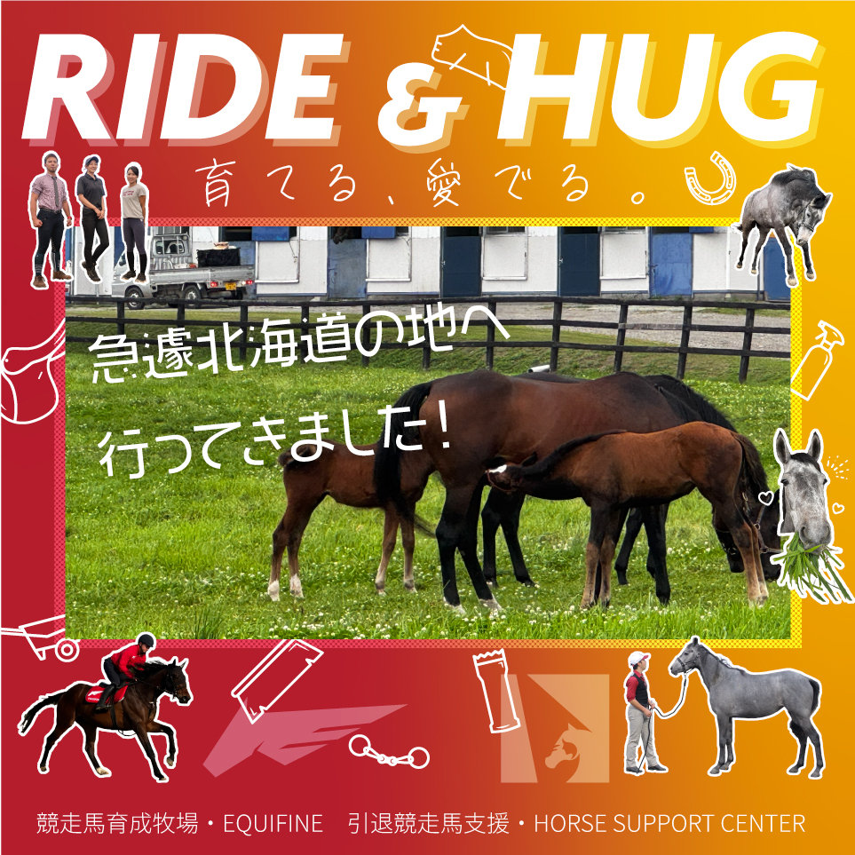 EQUIFINE2024's tweet card. 「馬づくりを通じた社会貢献を」をスローガンに掲げて育成牧場を運営する、株式会社EQUIFINE。そして同社スタッフたちが「引退競走馬の価値創造と終生飼養」を目指した活動を続ける、一般社団法人ホースサポートセンター。そんなホースマンたちが、日々真摯に馬と向き合う様子をお届けするブログです。こんにちは✨️EQUIFINEのもーりーです🥕先日、北海道日高町にて開催された「セレクションセール202...