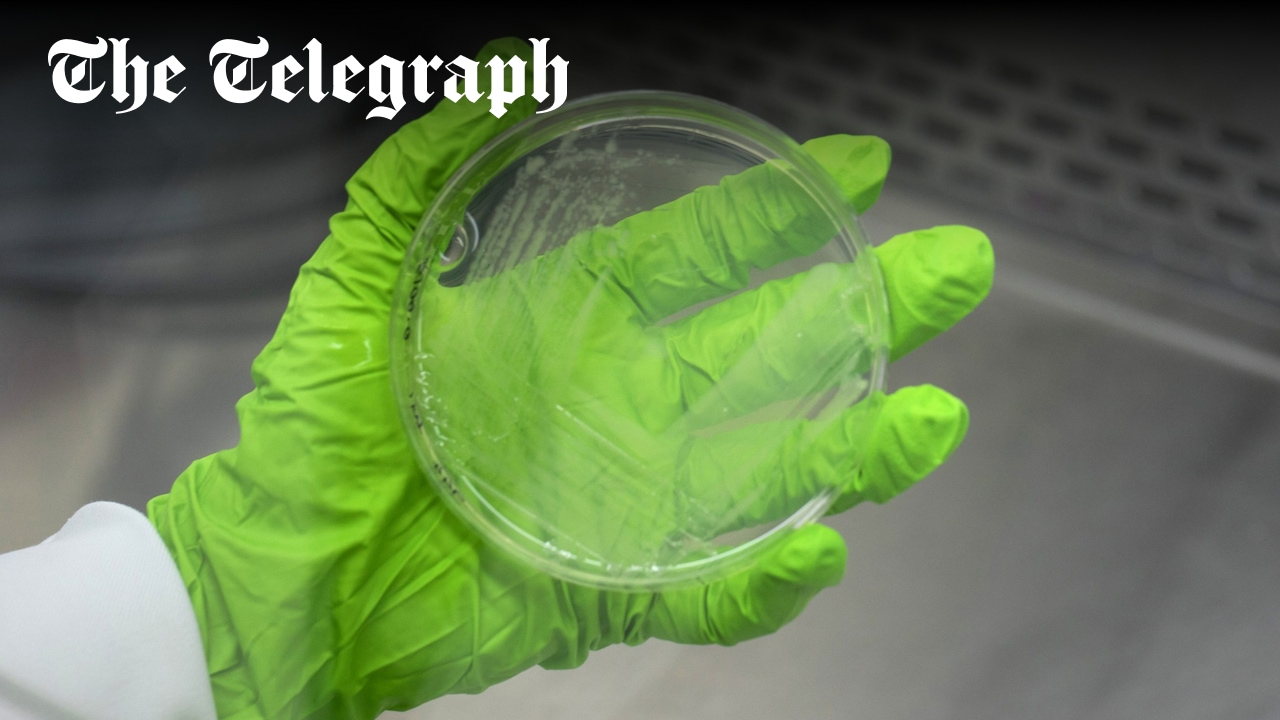 BrineHealth's tweet card. Government shutters major UK aid programme to tackle antimicrobial resistance