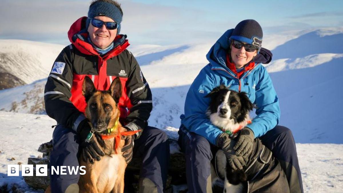BraemarMRT's tweet card. Braemar rescue dog team pick up Fort William Mountain Festival special award.