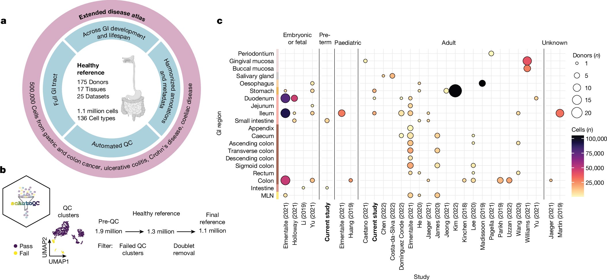 KoplevS's tweet card. Nature - The study provides a comprehensive transcriptomic atlas of the human gastrointestinal tract across the lifespan, highlighting inflammation-induced changes in epithelial stem cells that...