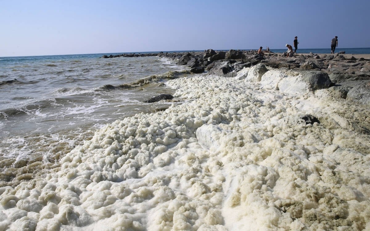 bianet_eng's tweet card. Authorities collected samples to analyze the substance seen in Hatay.