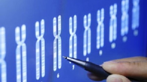 ImaginingFuture's tweet card. This special issue will bring together key work in this area, including outputs from a recent Brocher Foundation workshop â€˜Severity in the genomic age: ...
