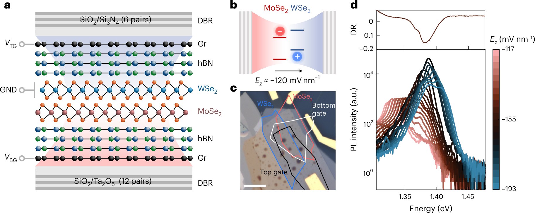 NatureNano's tweet card. Nature Nanotechnology - This work advances excitonic optoelectronics by demonstrating electrically tunable cavity coupling of interlayer excitons in a van der Waals heterobilayer. Through...