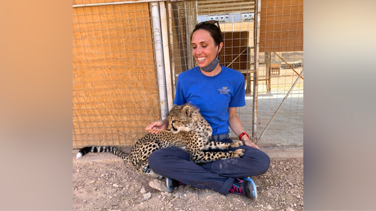HornDiplomat's tweet card. A team from The Living Desert Zoo and Gardens in Palm Desert, California, is set to arrive in Somaliland this week