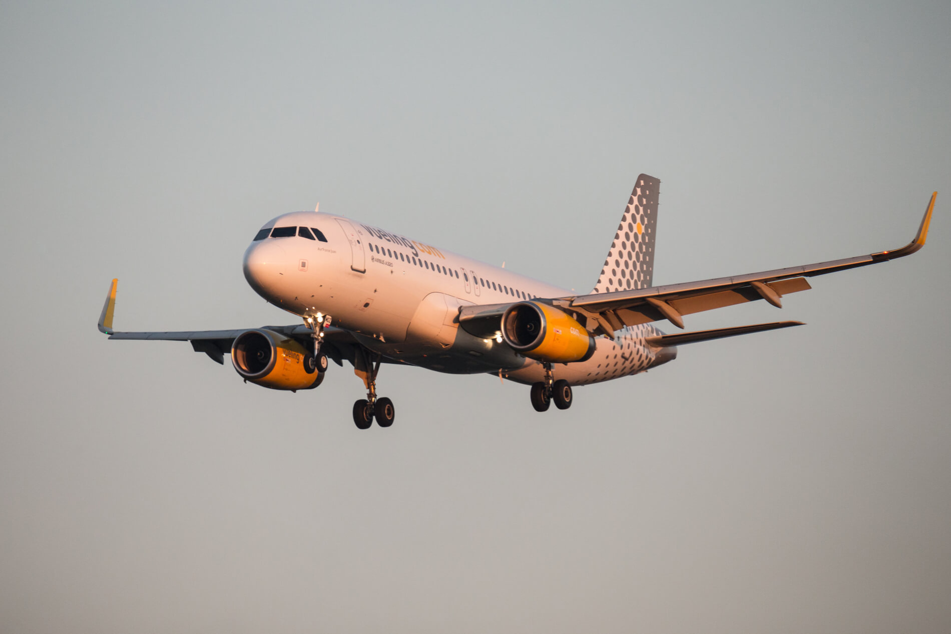 kjrrusschen1844's tweet card. Spanish low-cost carrier Vueling has denied that the removal of over 50 Jewish teenagers from a flight at Valencia Airport (VLC) was motivated by antisemitism.