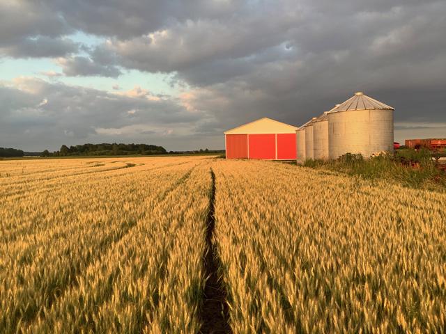 kevinki16180099's tweet card. DTN Contributing Analyst Philip Shaw compares what farmers get from either side of the Canada-United States border for government program support and tax differences. (DTN photo by Philip Shaw)