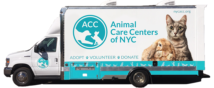 galeabrewer's tweet card. View the list of our upcoming first-come-first-served events. Cats, dogs, puppies, kittens, rabbits, guinea pigs and more.