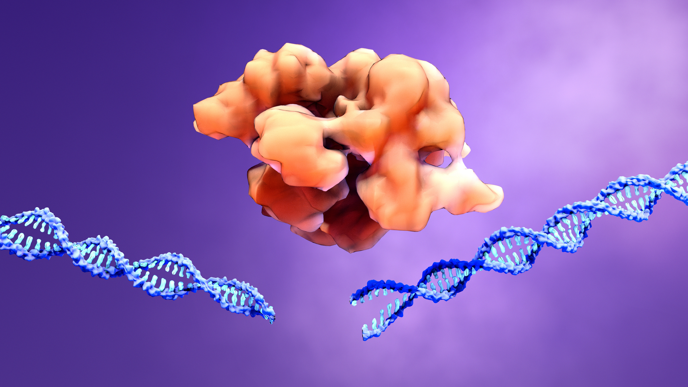 CRISPR_News's tweet card. Researchers used CRISPR gene editing to target head and neck tumors, eliminating 50% of tumors in mice after three injections over 84 days.