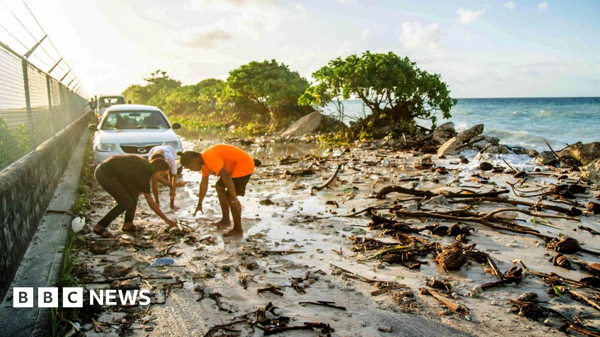 friends_earth's tweet card. The decision from the world's highest court has been welcomed by developing nations at most risk from climate change.