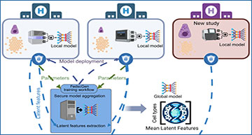 RNASeqBlog's tweet card. FedscGen enables secure collaboration on RNA sequencing data by correcting batch effects without compromising patient privacy...
