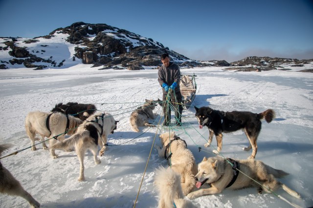 MCTothSTL's tweet card. ILULISSAT, GREENLAND — Just after midday, we gripped the worn rope handles of a dogsled as 11 dogs surged across the frozen tundra of Western Greenland, inside the Arctic Circle. The wind lashed ou…