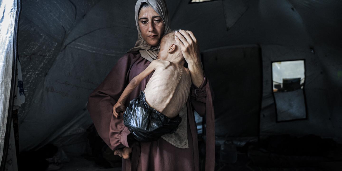 guillaumegarot's tweet card. Depuis que l’armée israélienne a placé l’enclave sous blocus humanitaire, début mars, une centaine d’habitants sont morts de faim. Ce bilan risque de s’aggraver très vite, alors que 600 000 personnes...