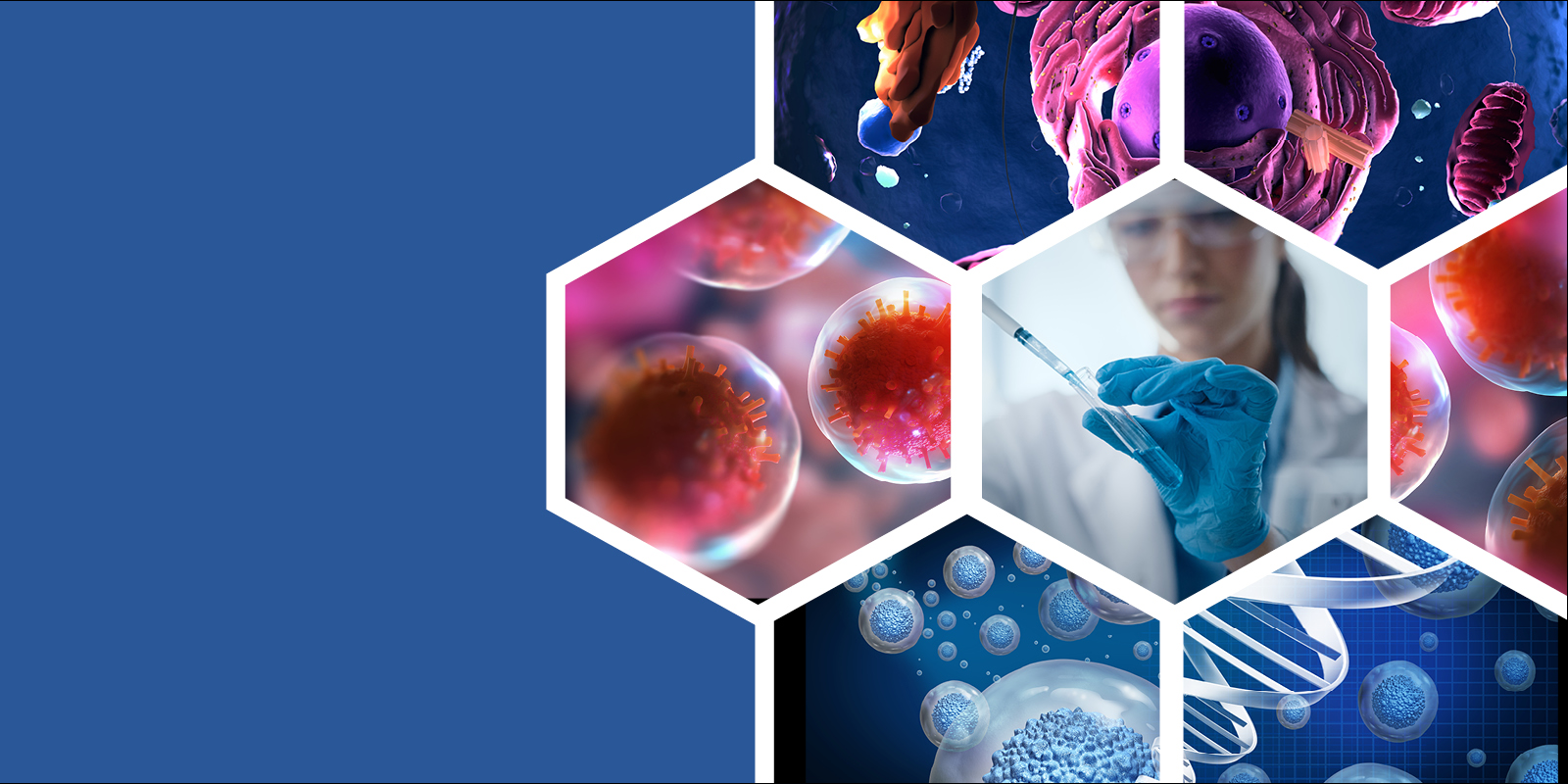 CBBaileyLab's tweet card. The Cell Free Systems Conference will focus on understanding, harnessing and expanding the capabilities of biological systems without living intact cells.