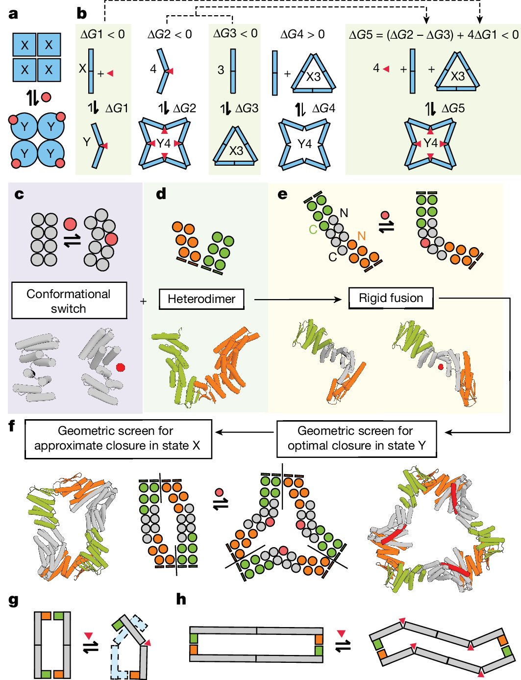 definitelyphil's tweet card. Nature - We investigate the de novo design of allostery and suggest that it can arise from global coupling of the energetics of protein substructures without optimized allosteric communication...