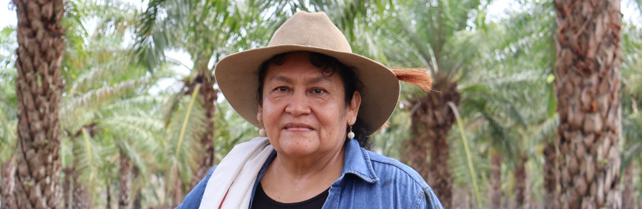 FedepalmaOrg's tweet card. María Erlinda Chaparro es una apasionada palmicultora de pequeña escala de la Zona Oriental, su plantación llamada Palmarito está ubicada el Corregimiento de Punto Nuevo, municipio de Yopal, en el...