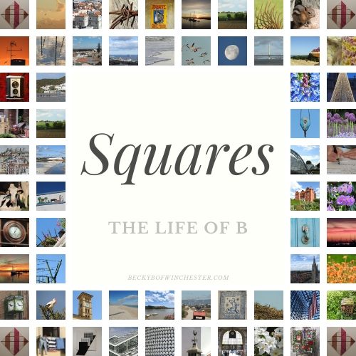 DAntion's tweet card. Becky’s Squares: Simply RedDan’s Thursday Doors The door to the bookshop in a small town downriver, Ulmarra How about we Paint it Black