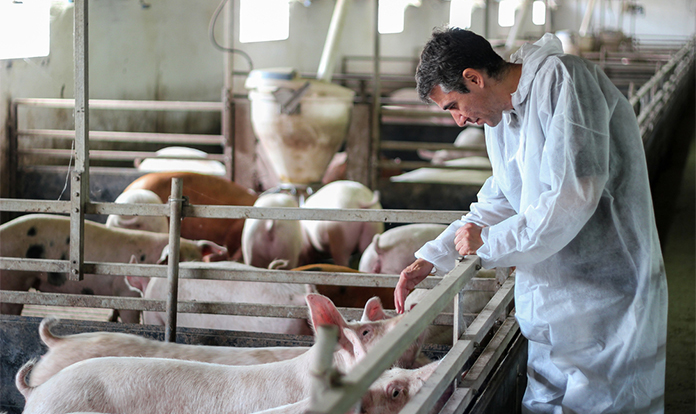 feedandadditive's tweet card. By combining deep scientific expertise with strong investor support, the company aims to set new standards in animal health innovation.