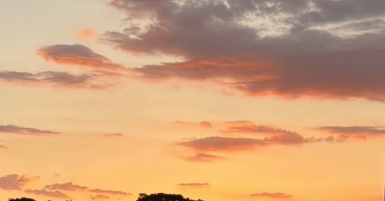 ARIMORIA's tweet card. サムネは母から送られてきた 今日の実家の夕焼けです 綺麗だと思う 今日はめちゃくちゃ仕事が捗りました 明日も頑張りたいです 以上です(久しぶりに超淡白日記) あでぃおす。