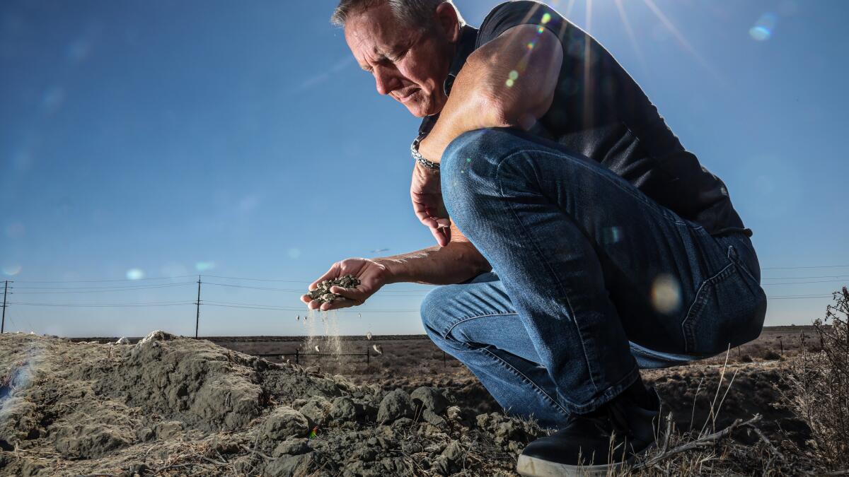 Erstone7's tweet card. A coalition has begun an effort to bring back Tulare Lake and its once-vast wetlands on thousands of acres of farmland in the San Joaquin Valley.