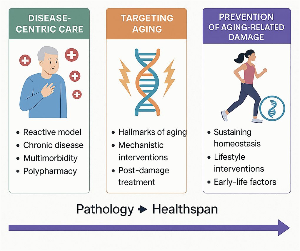 marc_dema's tweet card. Aging | doi:10.18632/aging.206262. Marco Demaria