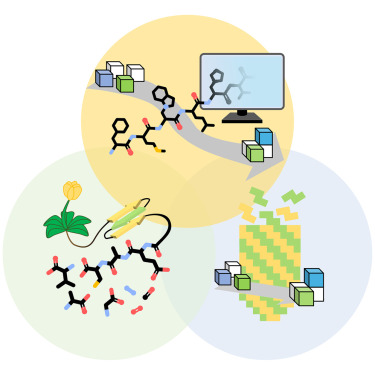 TobiasSchnitzer's tweet card. Peptides are highly selective organocatalysts, with intrinsic modularity allowing precise control over structure and function. Advances in peptide synthesis, biotechnology, and cheminformatics will...