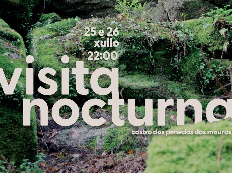 zoompontevedra's tweet card. A asociación Terra Grovii e o Concello de Salvaterra de Miño organizan os días 25 e 26 de xullo, ás 22:00 horas, unha nova visita guiada nocturna para apreciar os petroglifos do Castro dos Penedos...