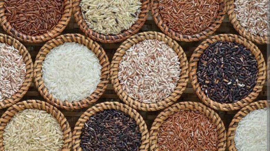 Dolphin_Support's tweet card. Protect India's Rice Diversity - Let's save our Health & Environment from Gene Edited Rice