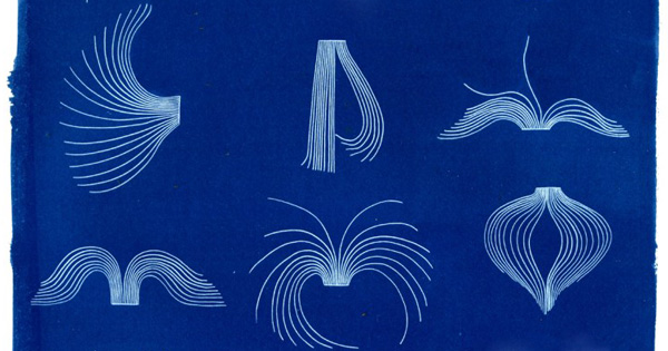 themarginalian's tweet card. “What a story is ‘about’ is to be found in the curiosity it creates in us, which is a form of caring.”