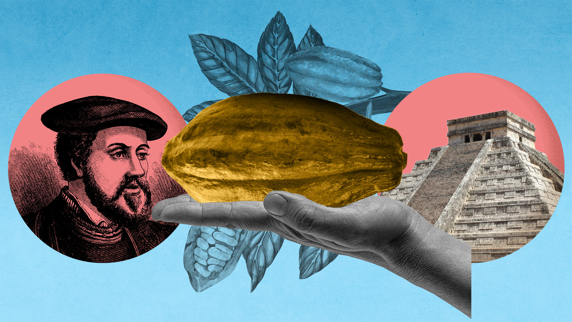 IeInsights's tweet card. The humble cacao bean has carried complex cultural meanings across continents, from indigenous sacred rituals to symbols of European royal power, writes Goretti Gonzalez.