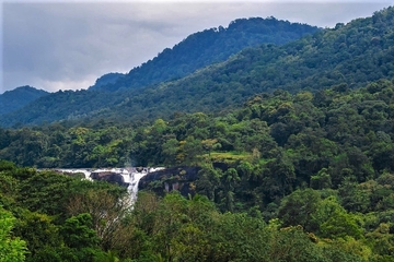 ker_ala's tweet card. Meera M. Panicker offers us a glimpse into Kadar ways of life, and how their everyday practices and their battles for forest rights serve as a lesson in Kerala's current moment of environmental...