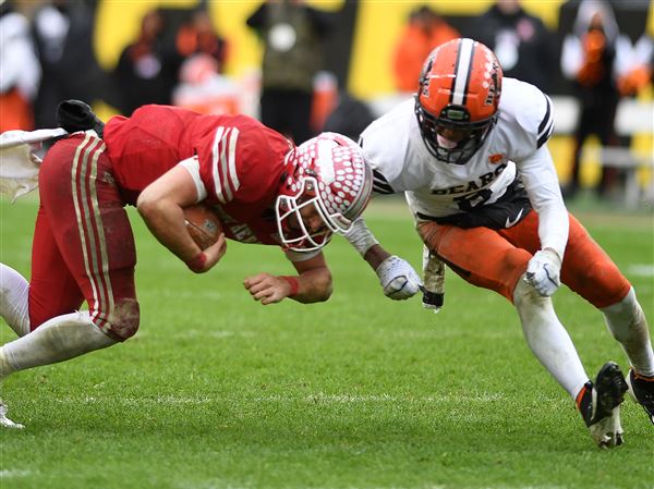 MattPress23's tweet card. Matt Sieg is in quite rarefied air. Before even mentioning his football exploits, consider that he has the talent to play Division I baseball and boasts...