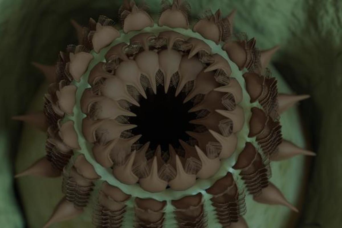 DiscoverMag's tweet card. Learn how the Grand Canyon used to be home to an ancient evolutionary competition that has since left behind a plethora of soft-bodied fossils.