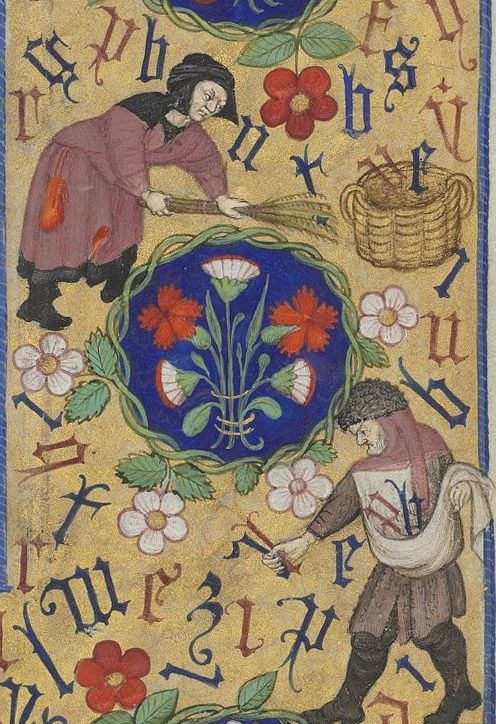 pimpledrose's tweet card. Gargoyle Online # 11 “Gathering the Alphabet”Horae ad usum romanum. Source: gallica.bnf.fr Bibliothèque nationale de France, Département des manuscrits, Latin 1156 B, fol. 135r Horae ad…