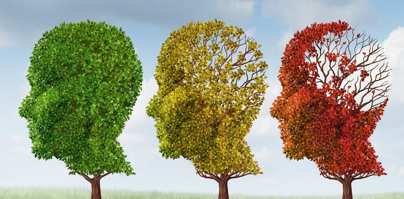 NikkiAnneWilson's tweet card. Alzheimer’s is the most common form of dementia. Here’s why knowing about the diversity of dementia matters.