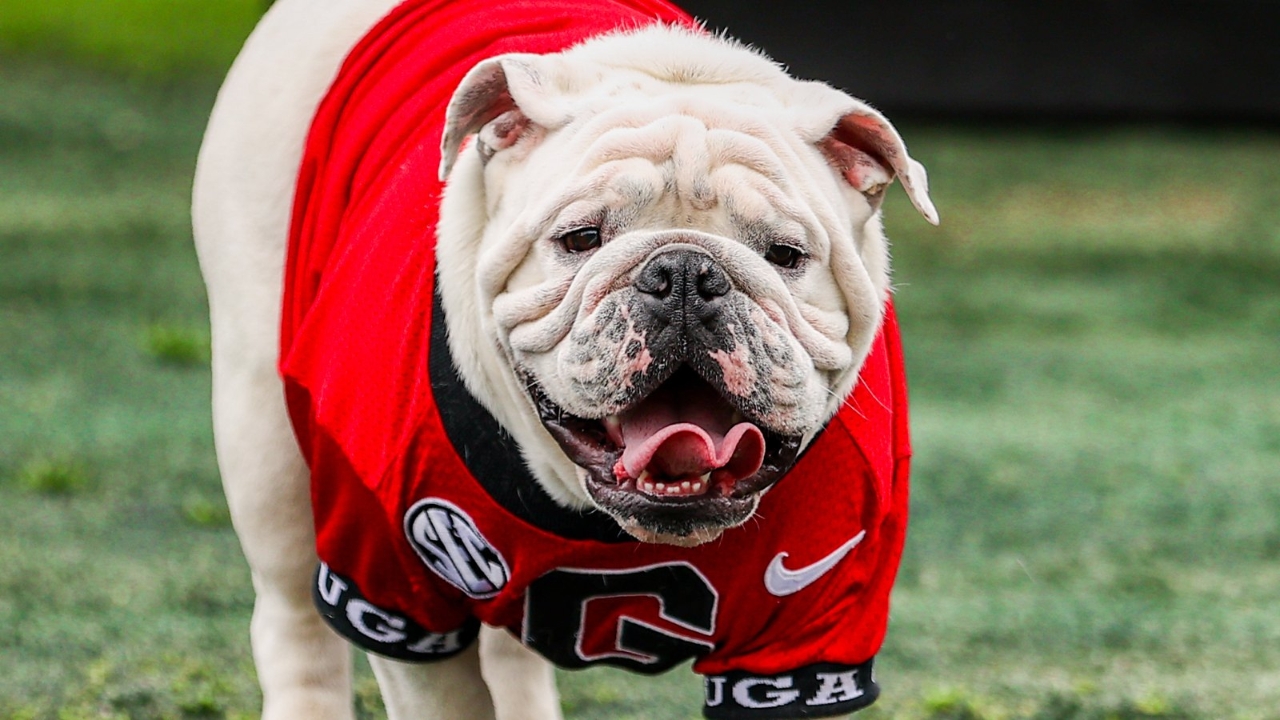MattDeBary's tweet card. Dawg Post gives the latest on Georgia's newest 2027 QB target.