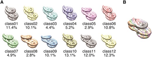 KurumizakaLab's tweet card. Abstract. Nucleosome remodelers modify the local structure of chromatin to release the region from nucleosome-mediated transcriptional suppression. Overlap