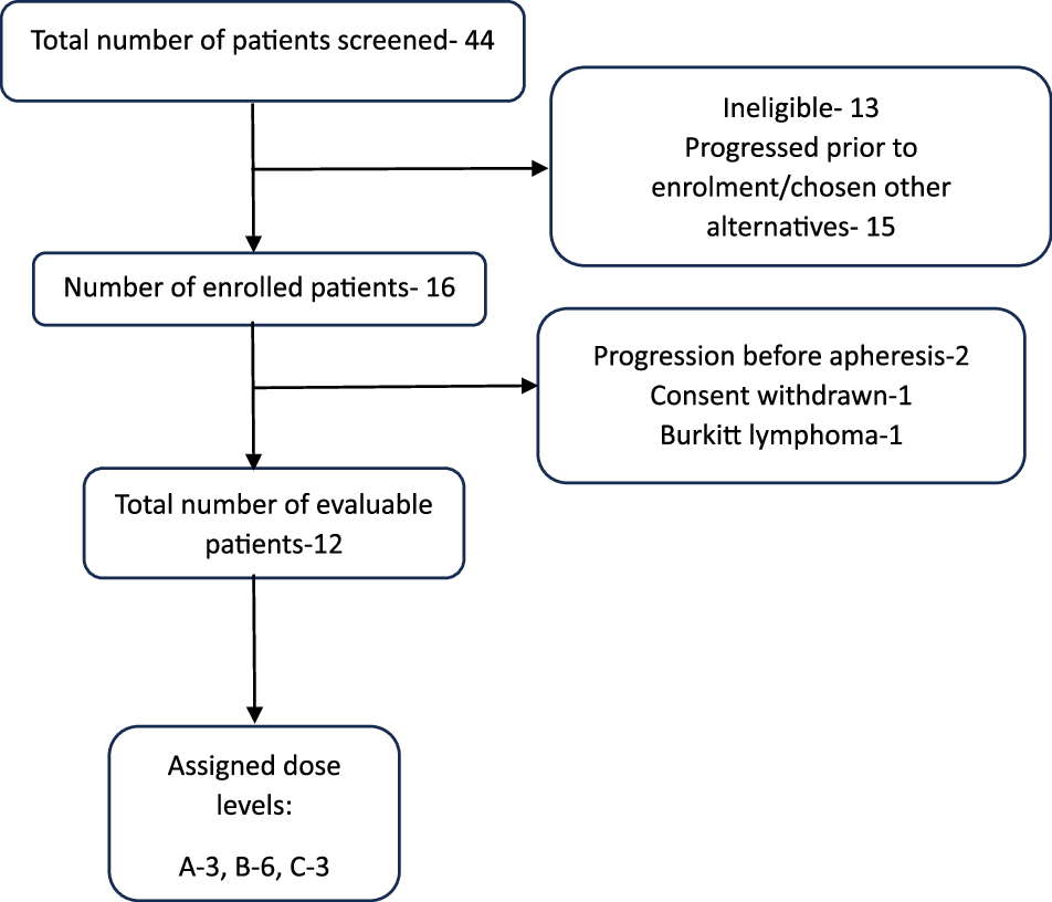BloodCancerJnl's tweet card. Blood Cancer Journal - Novel humanized CD19-CAR-T (Now talicabtagene autoleucel, Tali-cel™) cells in relapsed/ refractory pediatric B-acute lymphoblastic leukemia- an open-label single-arm...
