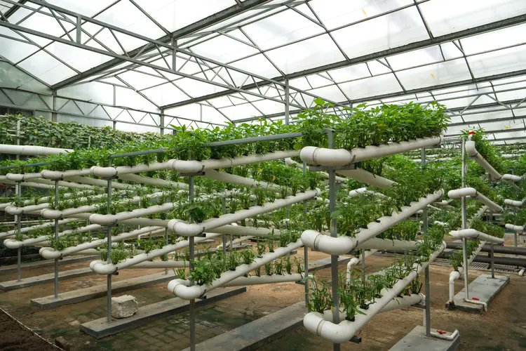 GeographicalMag's tweet card. From a farm within an office in Tokyo to urban rooftops repurposed as farms, discover how urban farming is taking cities by storm worldwide