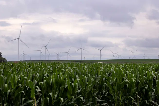 UtilityDive's tweet card. Analysts on the call were skeptical of NextEra’s claims that the company could avoid losing tax credits for its projects.